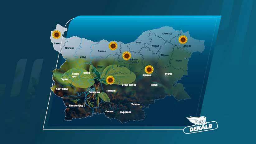 Добиви Слънчоглед DEKALB® 2025
