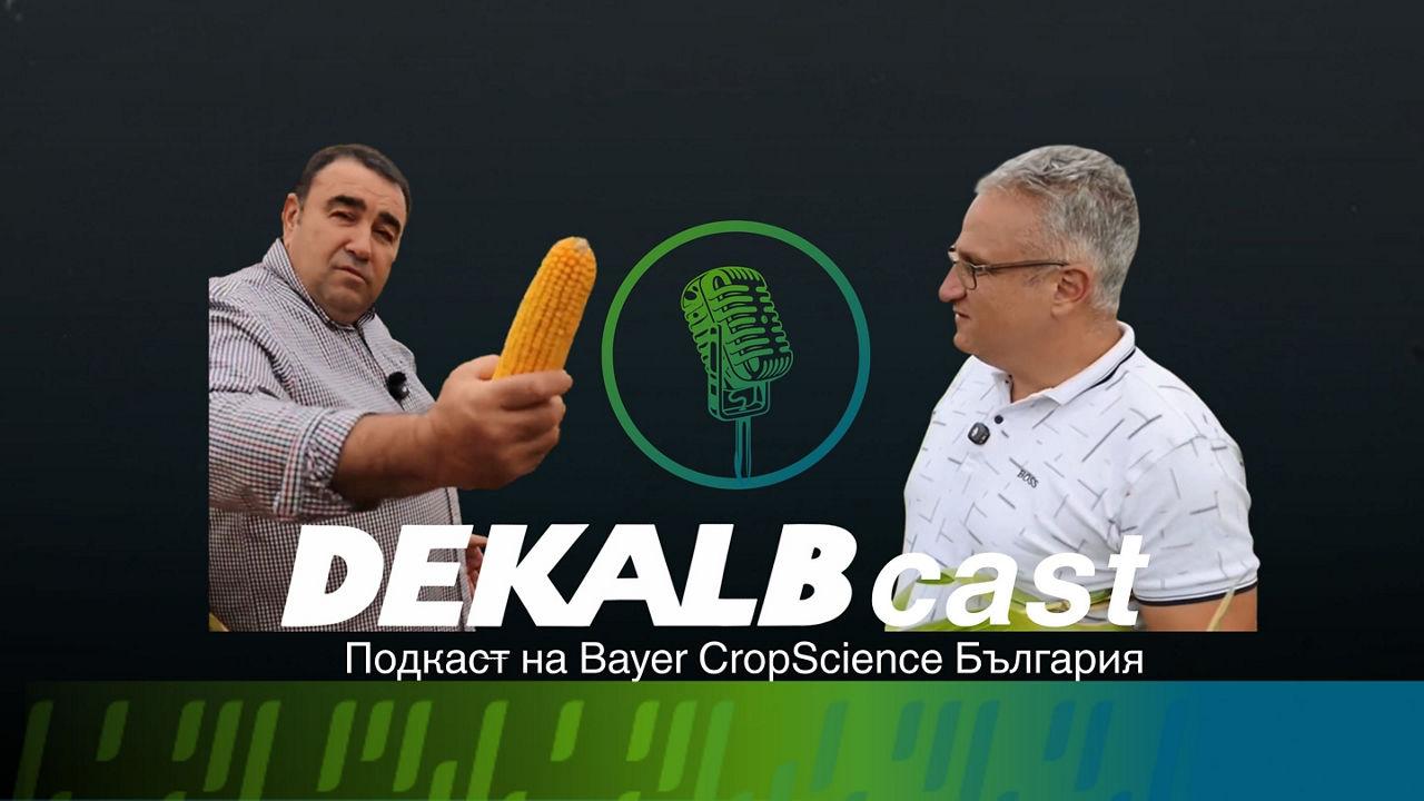 DEKALBcast: FLEXI кочани - сигурни добиви