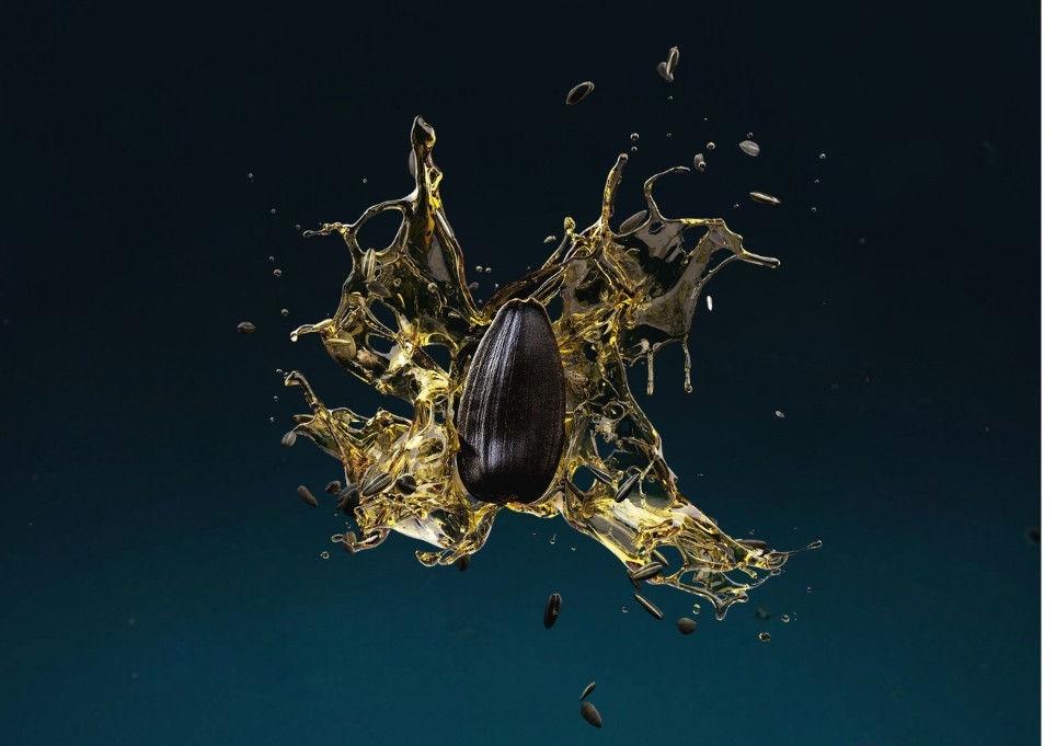 Каталог Слънчоглед DEKALB® 2026