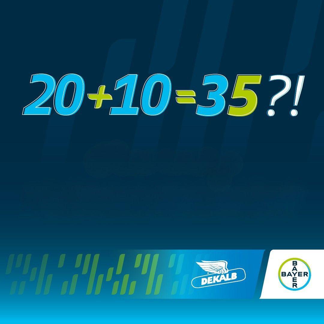 Ваучерна програма семена слънчоглед 2026