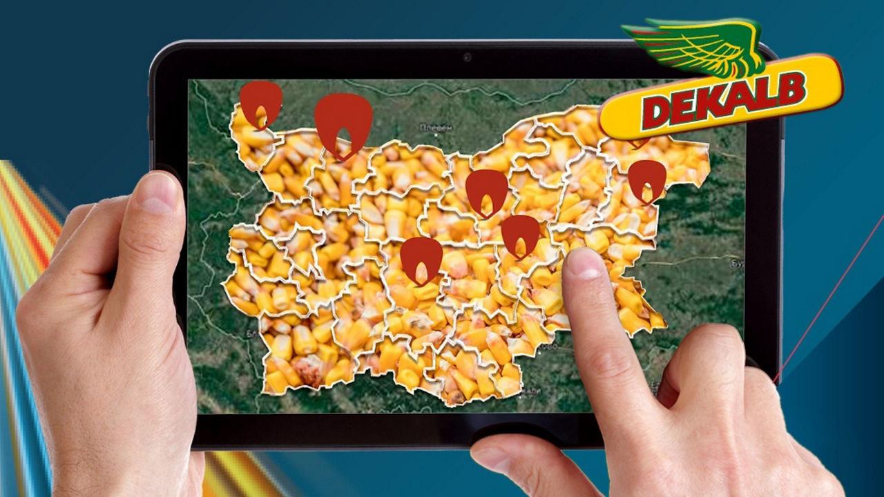 Добиви Царевица DEKALB® 2024