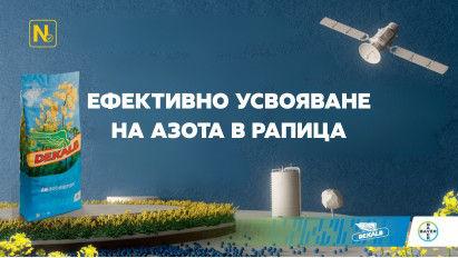 Усвояване на азота в рапица