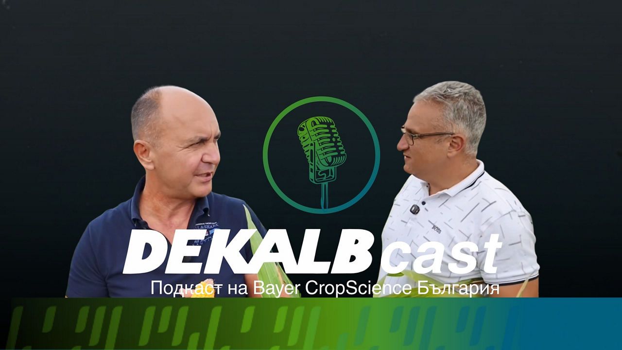 DEKALBcast: Високи добиви дори при трудни условия
