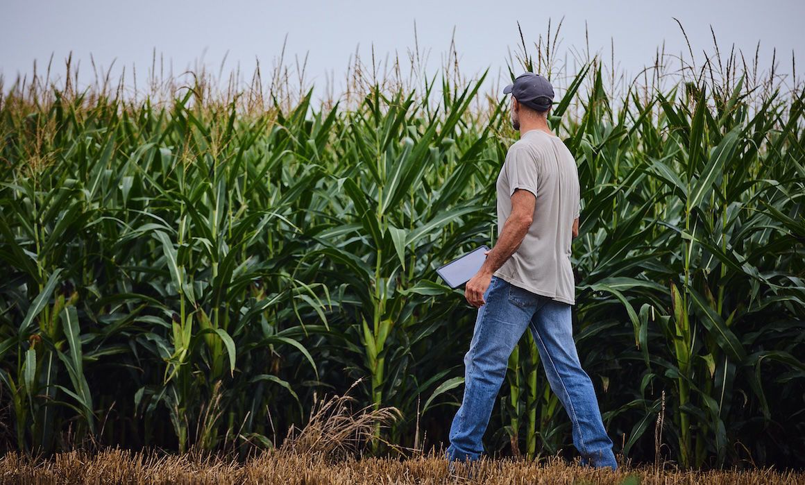 Относителна зрялост (RM)