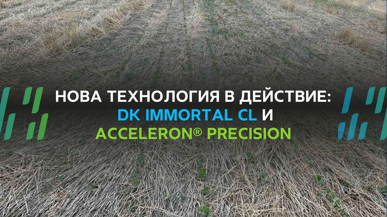 Нова технология в действие: DK Immortal CL и Acceleron® Precision