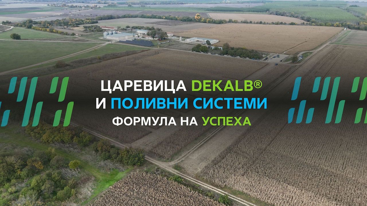 Царевица DEKALB® и поливни системи – формула на успеха