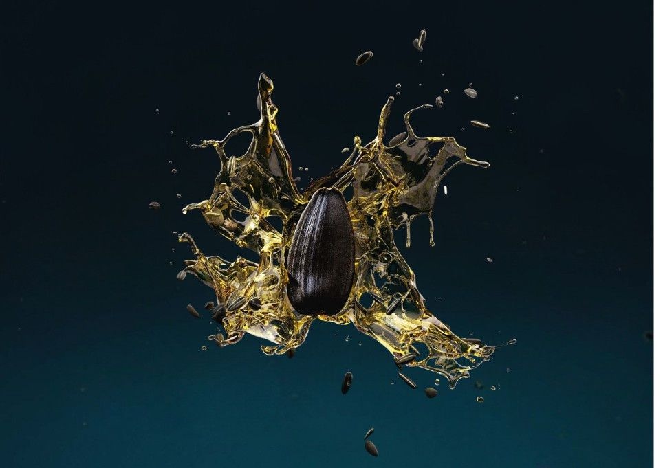 Каталог Слънчоглед DEKALB® 2026