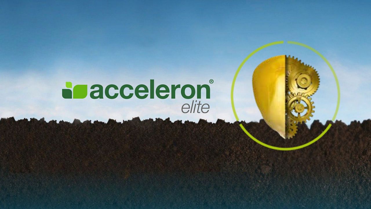 Acceleron® Elite