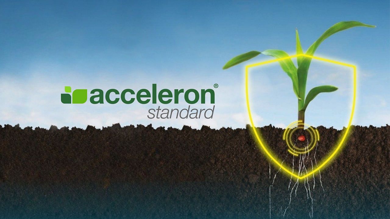 Acceleron® Standard