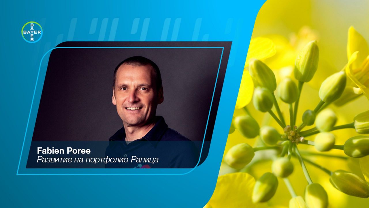 Байер стартира кампания рапица DEKALB® България