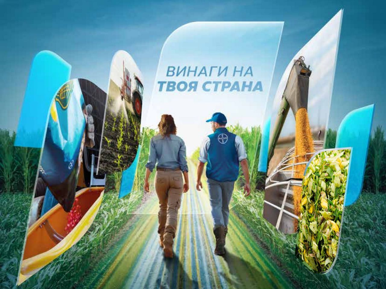 Каталог Царевица DEKALB® 2026