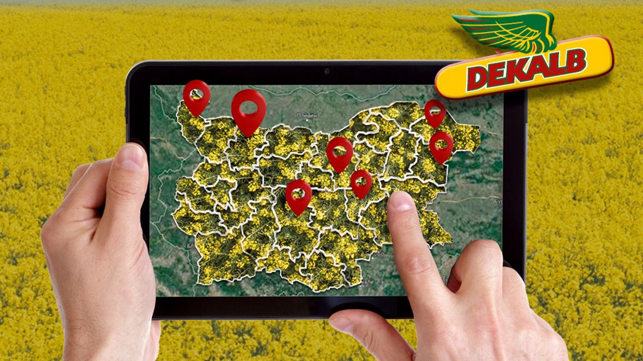 Добиви Рапица DEKALB® 2024