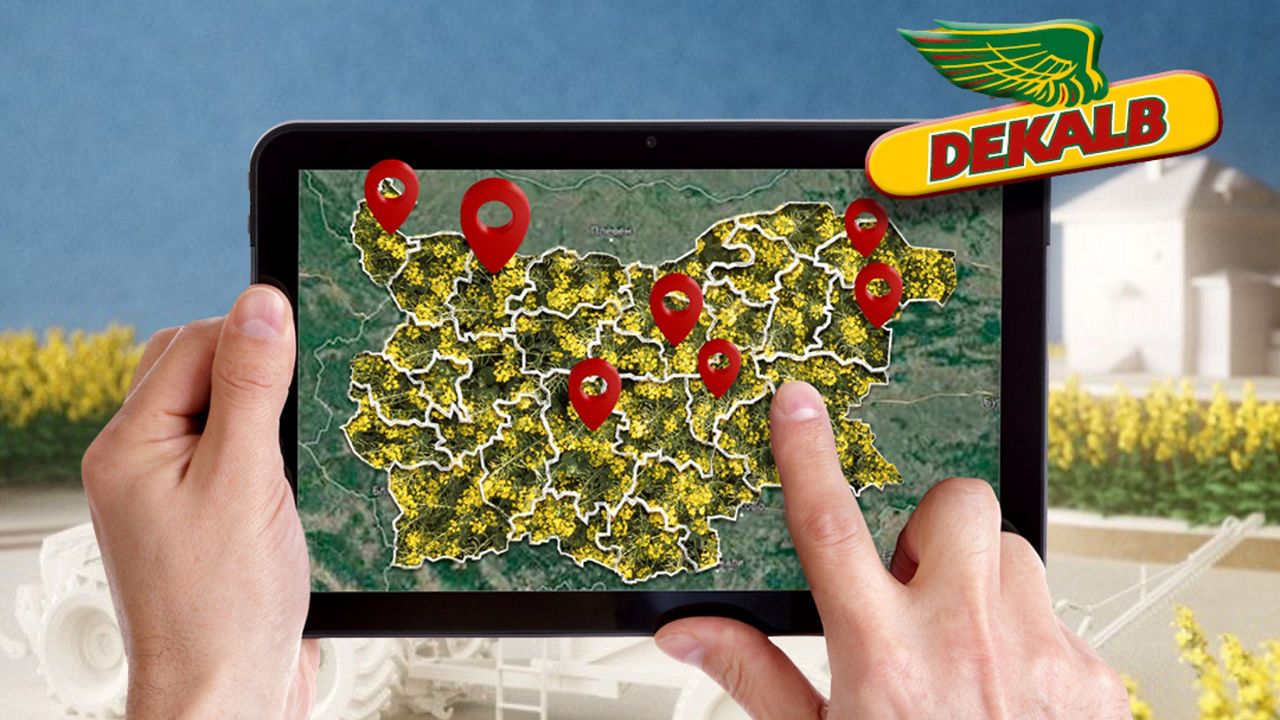 Добиви Рапица DEKALB® 2025
