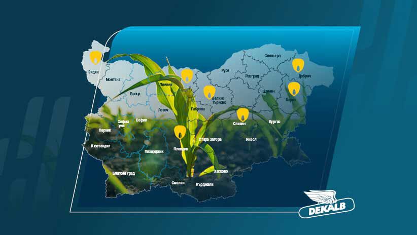 Добиви Царевица DEKALB® 2025