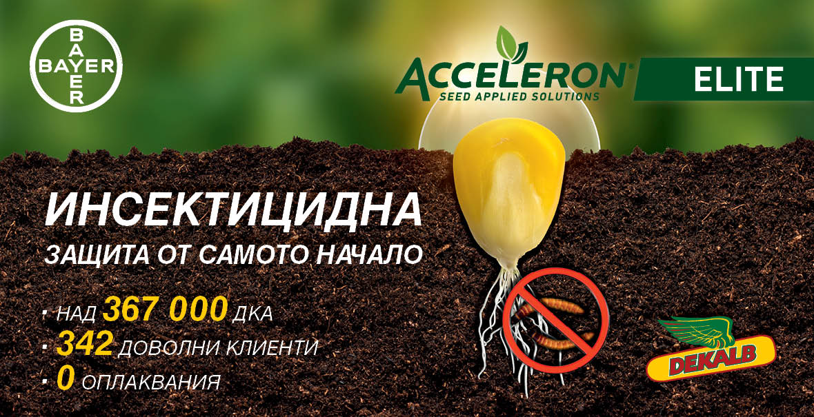 Акселерон Елит третиране в царевица