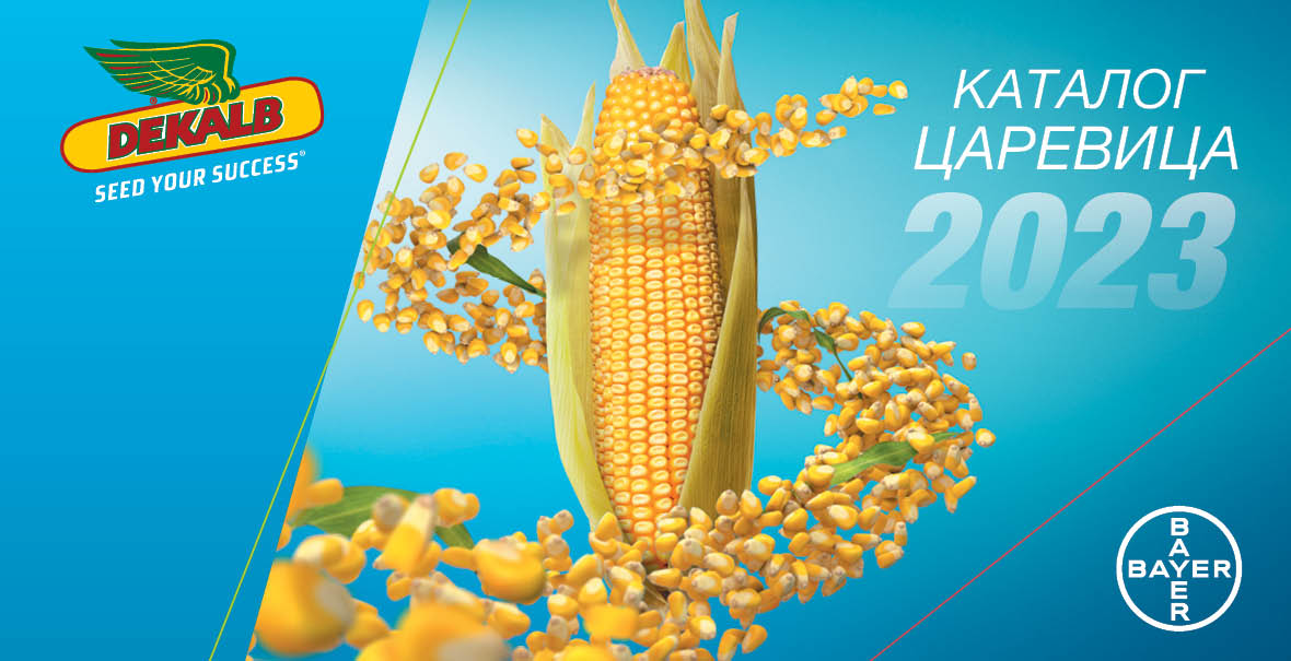 Каталог хибриди царевица 2023