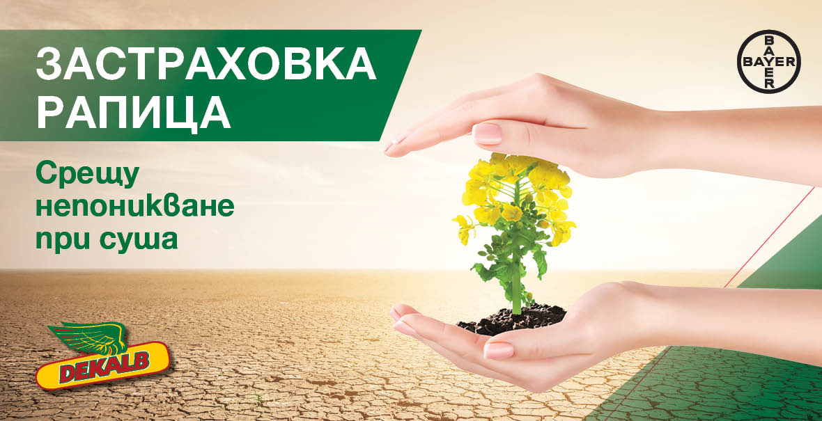 Застраховка рапица