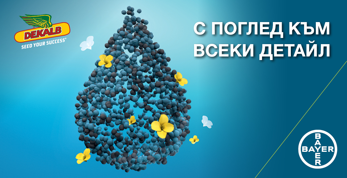 Каталог рапица 2023