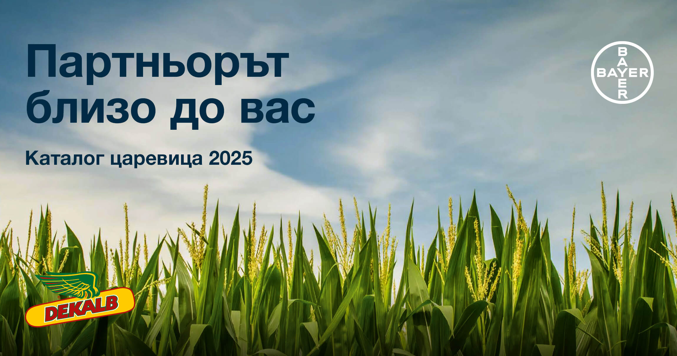 Банер Каталог царевица 2025