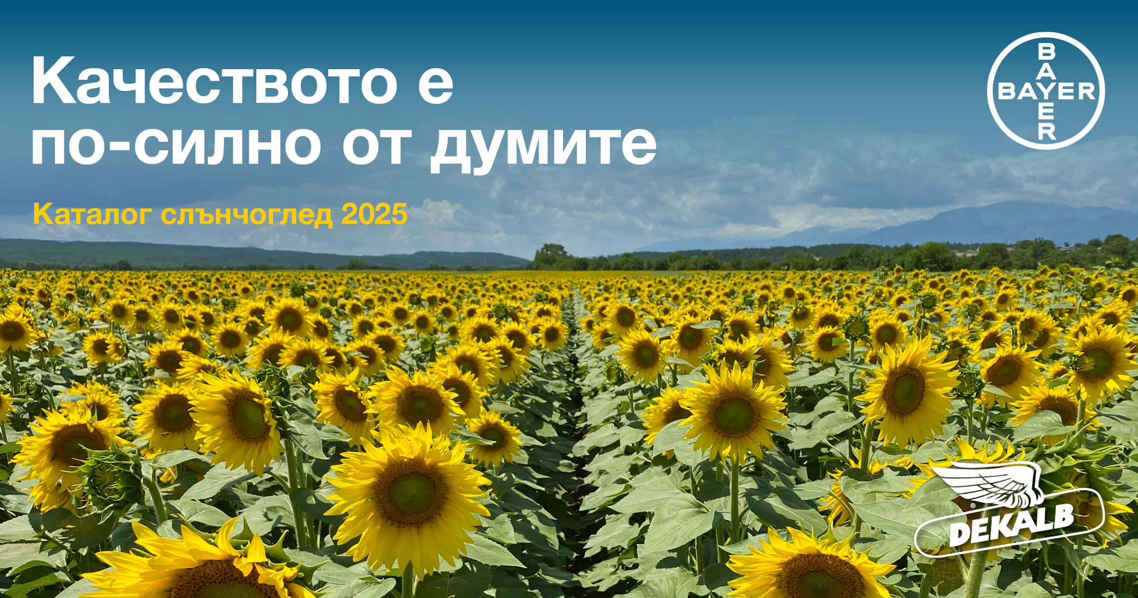 Банер Каталог слънчоглед 2025